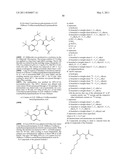 Novel [F-18]-labelled L-glutamic acid and L-glutamine derivatives (II), their use and processes for their preparation diagram and image