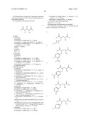 Novel [F-18]-labelled L-glutamic acid and L-glutamine derivatives (II), their use and processes for their preparation diagram and image