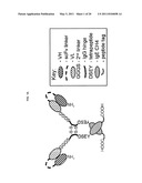 DIMERIC MOLECULAR COMPLEXES diagram and image