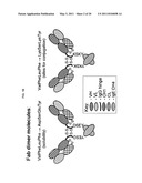 DIMERIC MOLECULAR COMPLEXES diagram and image