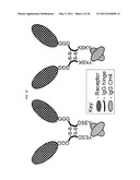 DIMERIC MOLECULAR COMPLEXES diagram and image