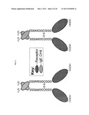 DIMERIC MOLECULAR COMPLEXES diagram and image