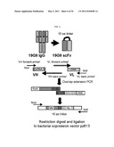 DIMERIC MOLECULAR COMPLEXES diagram and image