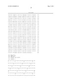 Membrane Associated Tumor Endothelium Markers diagram and image