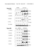 Biomarkers for Head-And-Neck Cancers and Precancers diagram and image