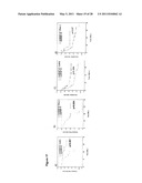 Biomarkers for Head-And-Neck Cancers and Precancers diagram and image