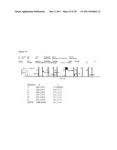 Biomarkers for Head-And-Neck Cancers and Precancers diagram and image