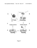 MULTI-FUNCTIONAL BIODEGRADABLE PARTICLES FOR SELECTABLE TARGETING, IMAGING, AND THERAPEUTIC DELIVERY AND USE THEREOF FOR TREATING OCULAR DISORDERS diagram and image
