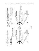 SITE SPECIFIC FLUORESCENCE AND CONTRAST MARKER FOR SAME diagram and image