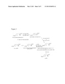 Compositions, Methods For Preparing Amino Acids And Nuclear Magnetic Resonance Spectroscopy diagram and image