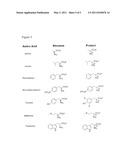 Compositions, Methods For Preparing Amino Acids And Nuclear Magnetic Resonance Spectroscopy diagram and image