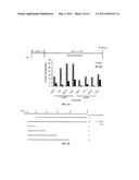 EPISOMAL REPROGRAMMING WITH CHEMICALS diagram and image