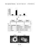 EPISOMAL REPROGRAMMING WITH CHEMICALS diagram and image