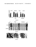 EPISOMAL REPROGRAMMING WITH CHEMICALS diagram and image