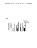 Human Hepatic Stem Cell, Method for Preparation of the Same, Method for Induction of Differentiation of the Same, and Method for Utilization of the Same diagram and image