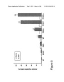 THYMIDYLATE KINASE FUSIONS AND USES THEREOF diagram and image