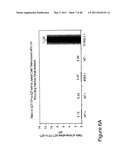 THYMIDYLATE KINASE FUSIONS AND USES THEREOF diagram and image