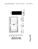 THYMIDYLATE KINASE FUSIONS AND USES THEREOF diagram and image