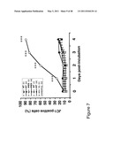 THYMIDYLATE KINASE FUSIONS AND USES THEREOF diagram and image