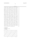 THYMIDYLATE KINASE FUSIONS AND USES THEREOF diagram and image