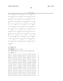 THYMIDYLATE KINASE FUSIONS AND USES THEREOF diagram and image