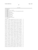 THYMIDYLATE KINASE FUSIONS AND USES THEREOF diagram and image