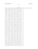 THYMIDYLATE KINASE FUSIONS AND USES THEREOF diagram and image