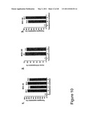 THYMIDYLATE KINASE FUSIONS AND USES THEREOF diagram and image