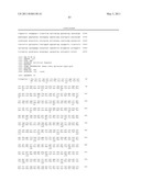 THYMIDYLATE KINASE FUSIONS AND USES THEREOF diagram and image