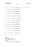 THYMIDYLATE KINASE FUSIONS AND USES THEREOF diagram and image