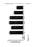 THYMIDYLATE KINASE FUSIONS AND USES THEREOF diagram and image