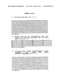 THYMIDYLATE KINASE FUSIONS AND USES THEREOF diagram and image