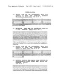 THYMIDYLATE KINASE FUSIONS AND USES THEREOF diagram and image