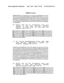 THYMIDYLATE KINASE FUSIONS AND USES THEREOF diagram and image