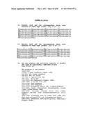 THYMIDYLATE KINASE FUSIONS AND USES THEREOF diagram and image