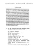 THYMIDYLATE KINASE FUSIONS AND USES THEREOF diagram and image