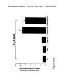 THYMIDYLATE KINASE FUSIONS AND USES THEREOF diagram and image