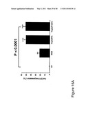 THYMIDYLATE KINASE FUSIONS AND USES THEREOF diagram and image