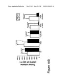 THYMIDYLATE KINASE FUSIONS AND USES THEREOF diagram and image