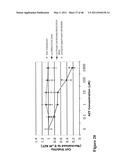 THYMIDYLATE KINASE FUSIONS AND USES THEREOF diagram and image