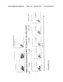 THYMIDYLATE KINASE FUSIONS AND USES THEREOF diagram and image