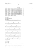 THYMIDYLATE KINASE FUSIONS AND USES THEREOF diagram and image