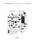 USE OF THE INNATE IMMUNITY GENE OASL FOR PREVENTING OR TREATING INFECTION WITH NEGATIVE STRAND RNA VIRUSES diagram and image