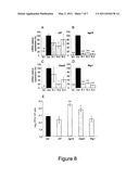 USE OF THE INNATE IMMUNITY GENE OASL FOR PREVENTING OR TREATING INFECTION WITH NEGATIVE STRAND RNA VIRUSES diagram and image