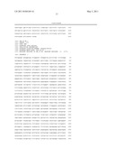 REGULATOR GENES OF ANGIOGENESIS, PHARMACEUTICAL PREPARATIONS CONTAINING THEM AND THEIR APPLICATIONS diagram and image