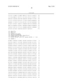 REGULATOR GENES OF ANGIOGENESIS, PHARMACEUTICAL PREPARATIONS CONTAINING THEM AND THEIR APPLICATIONS diagram and image