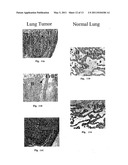 ANTIBODIES FOR INHIBITING BLOOD COAGULATION AND METHODS OF USE THEREOF diagram and image