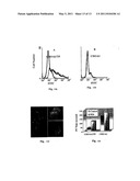 ANTIBODIES FOR INHIBITING BLOOD COAGULATION AND METHODS OF USE THEREOF diagram and image