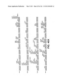 ANTIBODY FRAGMENT-POLYMER CONJUGATES AND USES OF SAME diagram and image