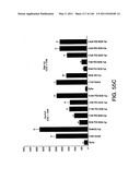 ANTIBODY FRAGMENT-POLYMER CONJUGATES AND USES OF SAME diagram and image